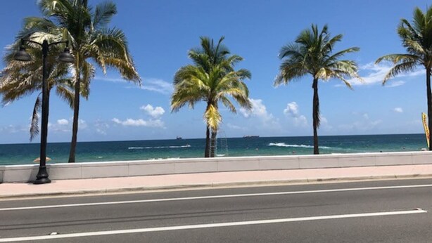 A coastal road with palm trees and a clear blue sky.