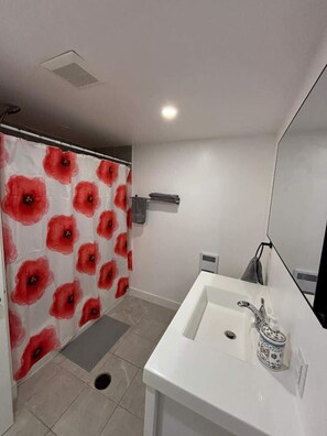Shower, hair dryer, shampoo