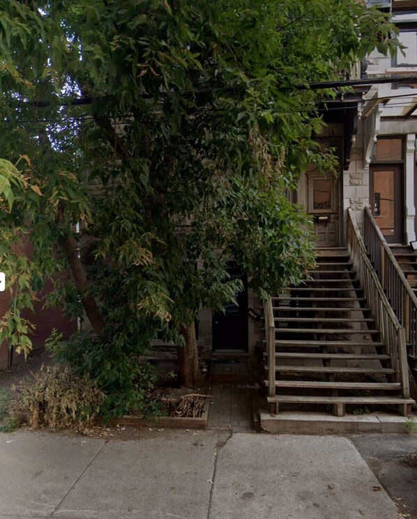 Una escalera que lleva a la entrada de un edificio, rodeada de follaje denso.