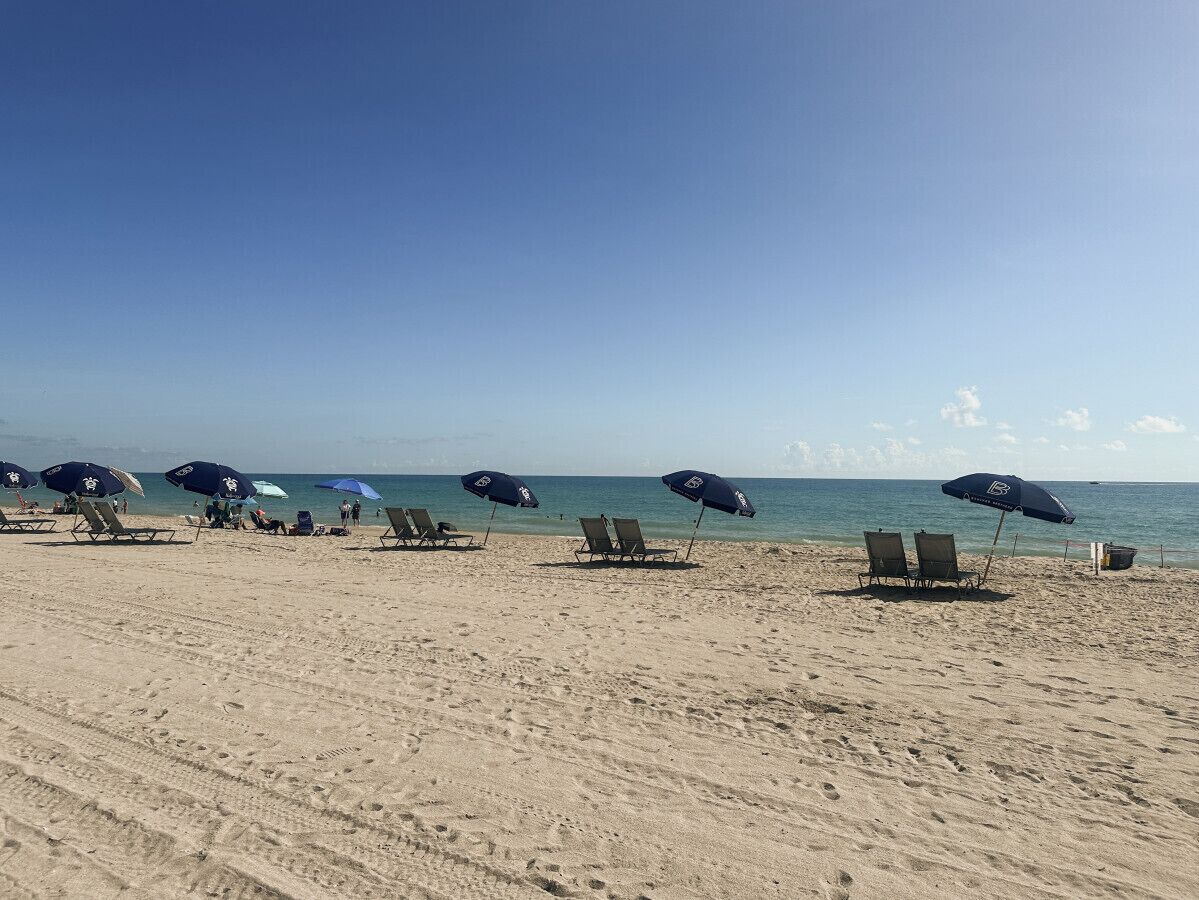 Une plage bordée de rangées de chaises longues et de parasols, un ciel dégagé et une mer calme.
