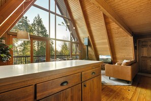 TV, fireplace, DVD player
