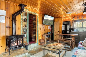 Televisión, chimenea, reproductor de DVD