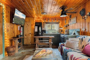 TV, fireplace, DVD player