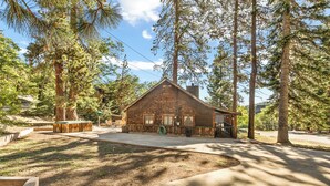 A rustic wooden cabin with a porch, surrounded by tall trees and a paved driveway.