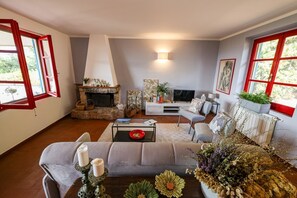 TV, fireplace, books