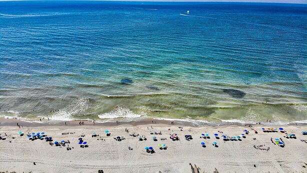A beach with clear blue water, a sandy shore, and umbrellas. - Blue Heron, Student/Pet Friendly w/ on Ocean Blvd (North Myrtle Beach)