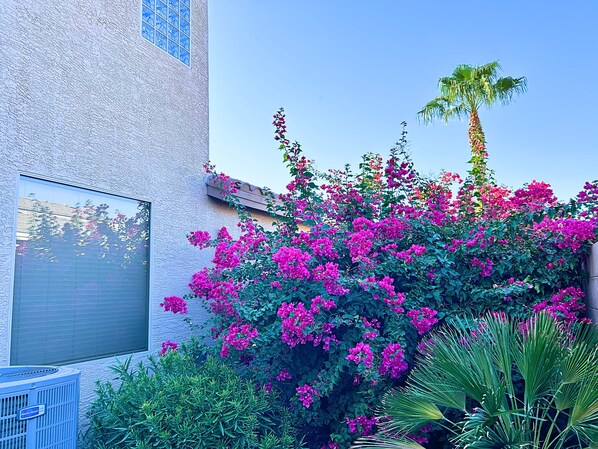 A building with a textured facade, a large window, and a garden with pink bougainvillea and palm trees.