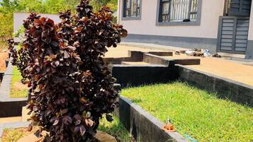 Stroll through the serene garden, surrounded by lush foliage and a charming two-story house with a flat roof.