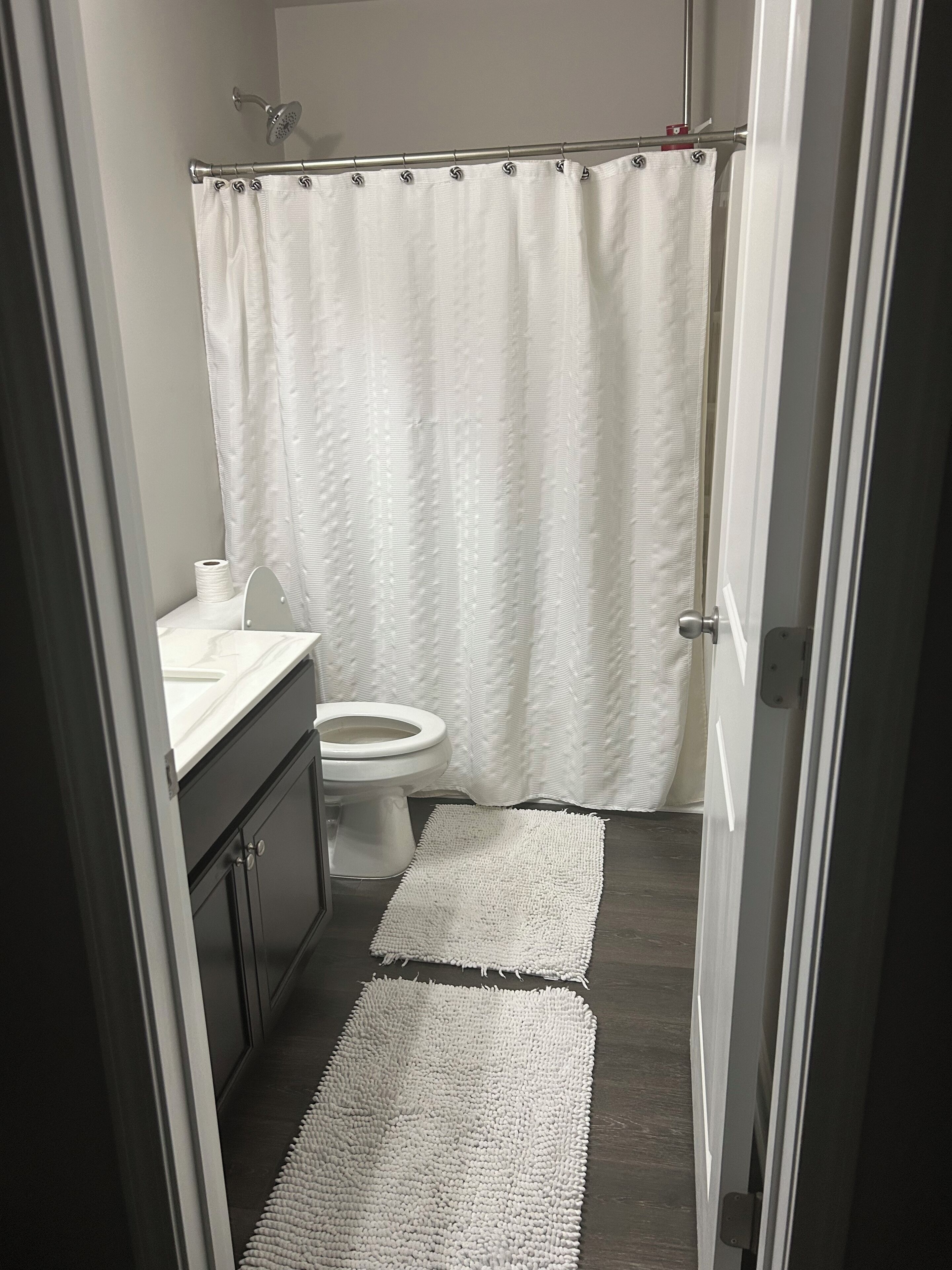 Shower, hair dryer, bidet, towels