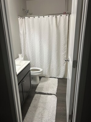 Regadera, secadora de cabello, bidet, toallas 