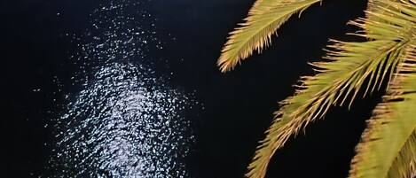 Un lago tranquilo de noche, con una luna visible y luces de la ciudad a lo lejos.