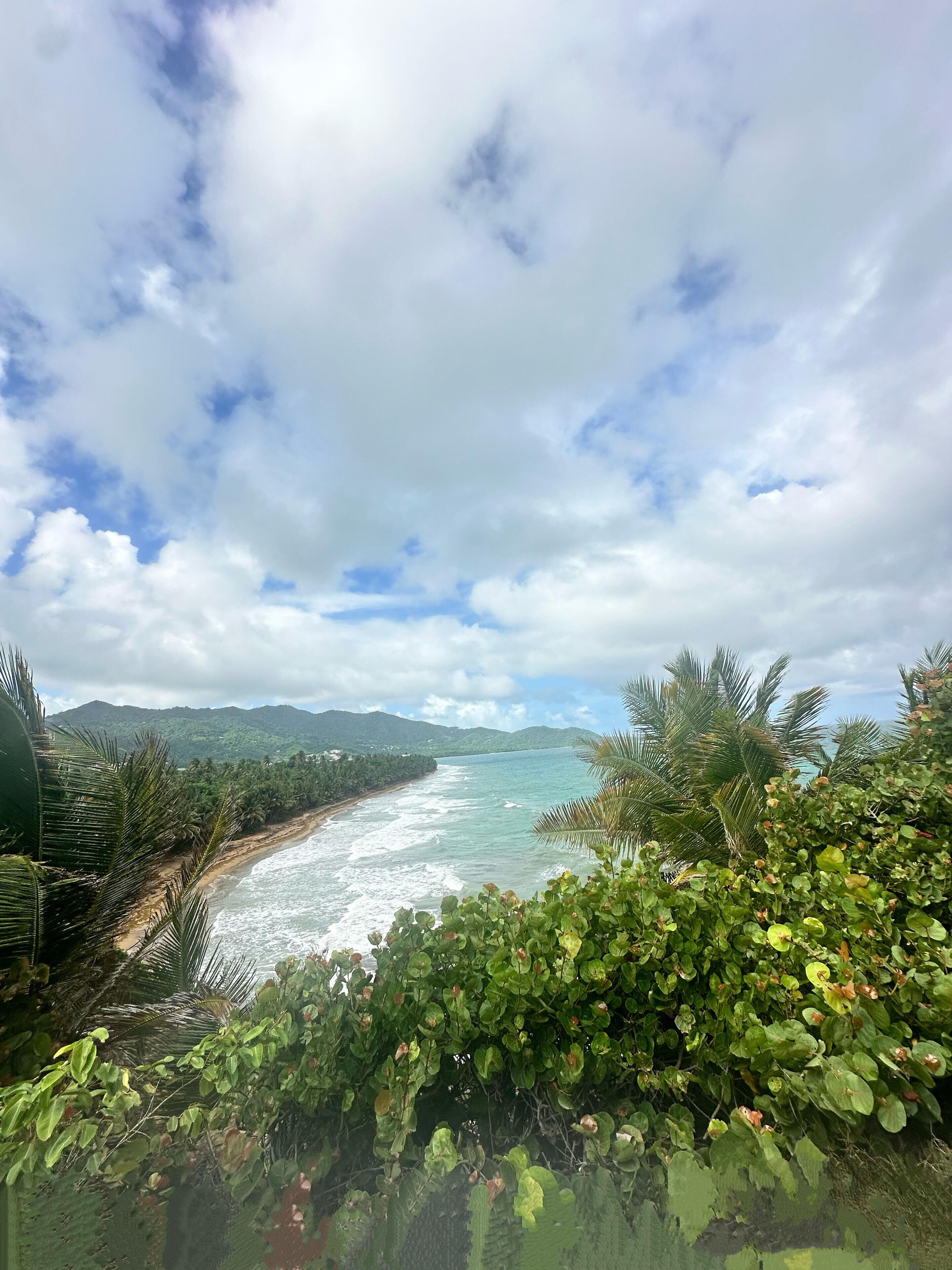 Vista costera con playa, olas del océano y abundante vegetación.