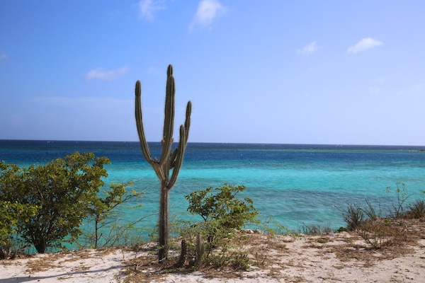 Just a short walk from the stunning Mangel Halto Beach, this apartment puts paradise right at your doorstep!