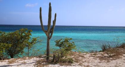 Kukwisa Retreat - 2BR Apartment