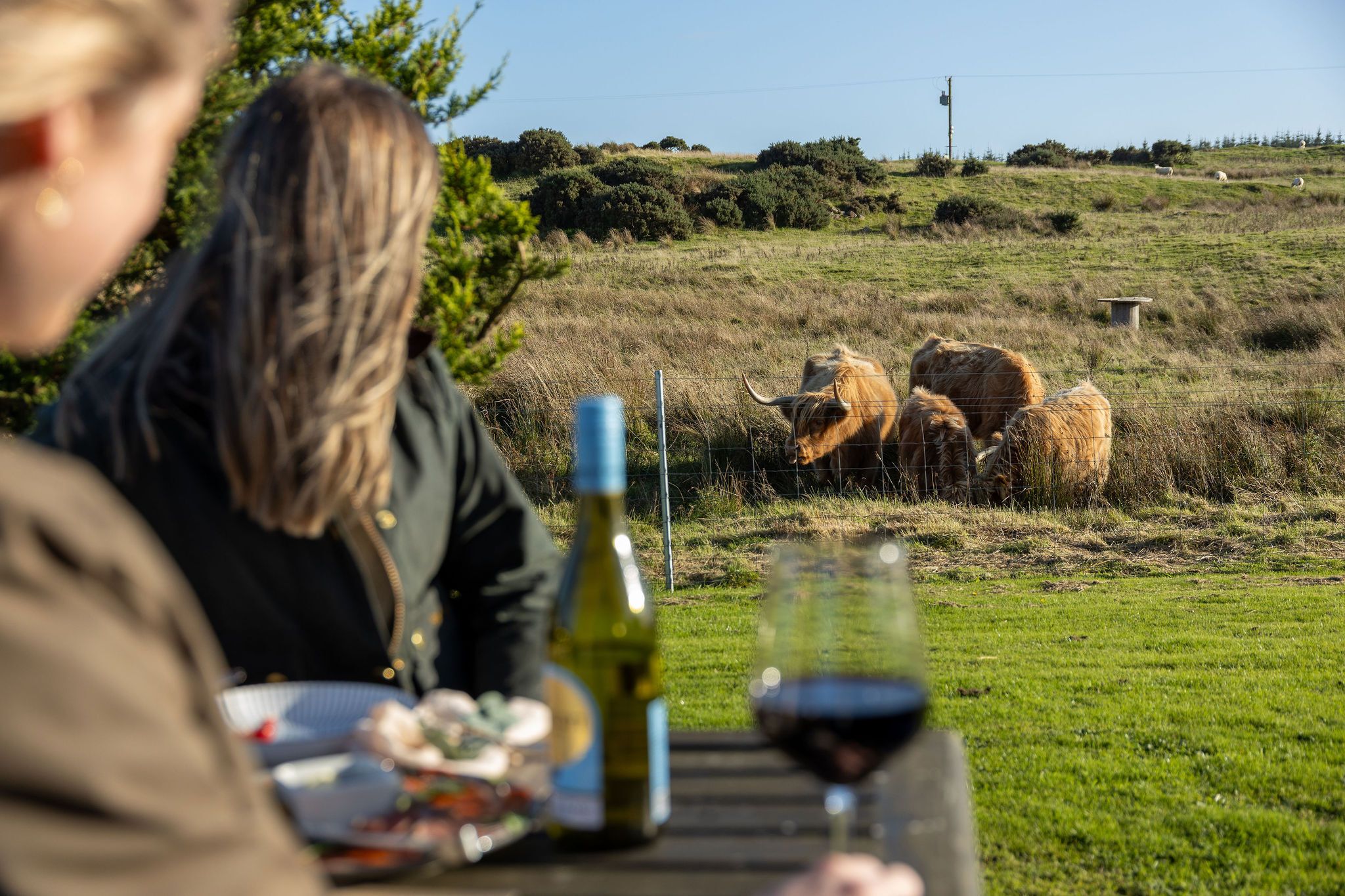 A dining table with food, wine, and a bottle, with a grassy field and animals in the background.