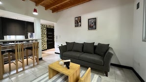Unclassified image, 3 of 58, button - Ayres home  (Mendoza)