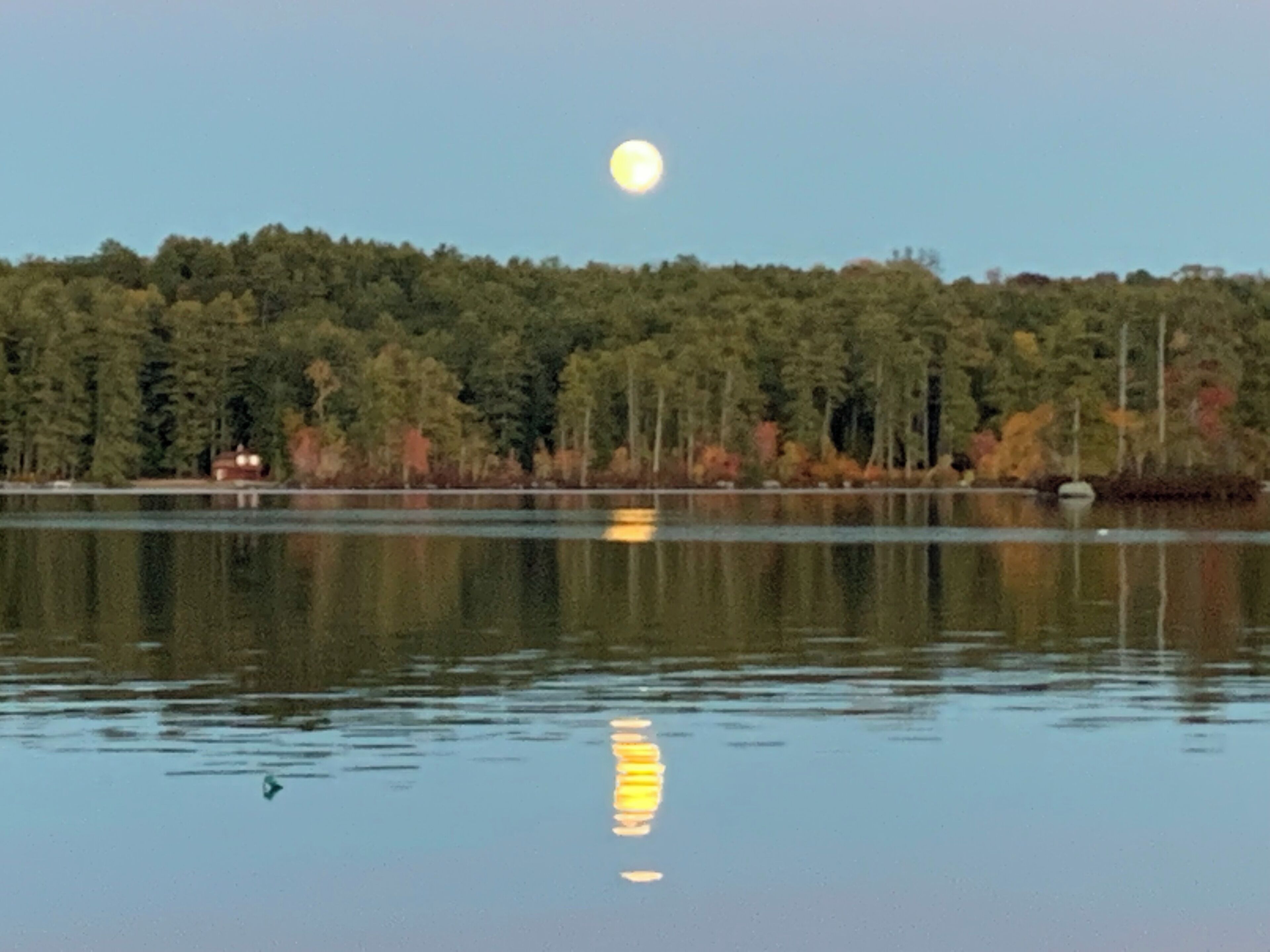 A calm lake with a reflection of the moon and trees in the background.