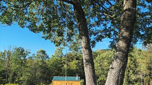 Une cabane en bois rustique, dotée d’un toit vert, entourée d’un champ verdoyant et luxuriant ainsi que de grands arbres.