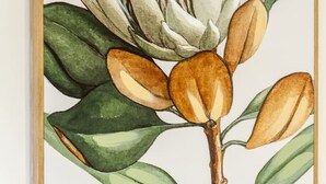 A framed botanical illustration of a Protea flower with green leaves and brown seed pods. - Cozy Studio Escape in Wilmer (Christchurch)