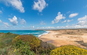 A coastal landscape with a sandy beach, a clear blue sky, and sparse vegetation.