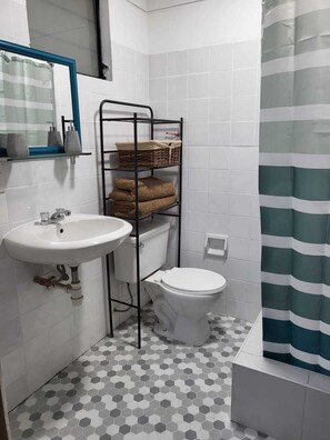 Shower, hair dryer, towels, toilet paper