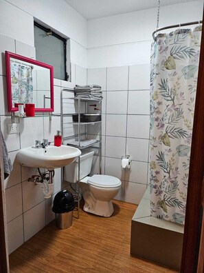Shower, hair dryer, towels, soap - Cozy triple apartment in charming Lima with WiFi #12 (Lima)