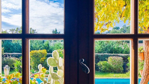 Une vue à travers une fenêtre à carreaux multiples, chaque carreau offrant une perspective différente sur le paysage extérieur, notamment une piscine, des cactus et diverses plantes.