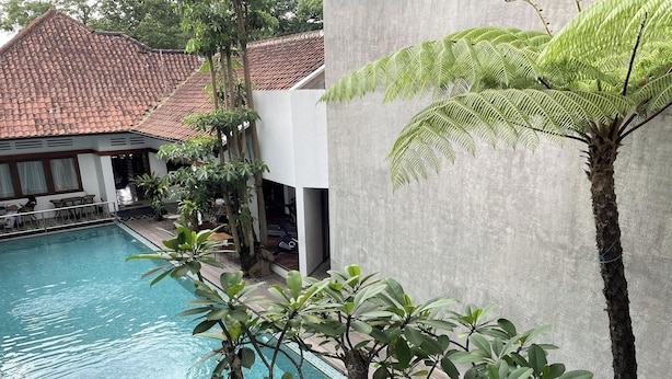 A swimming pool surrounded by greenery, a building with a tiled roof, and a concrete wall.