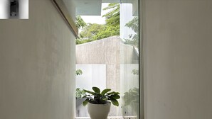 A narrow hallway with a potted plant and patterned floor tiles.