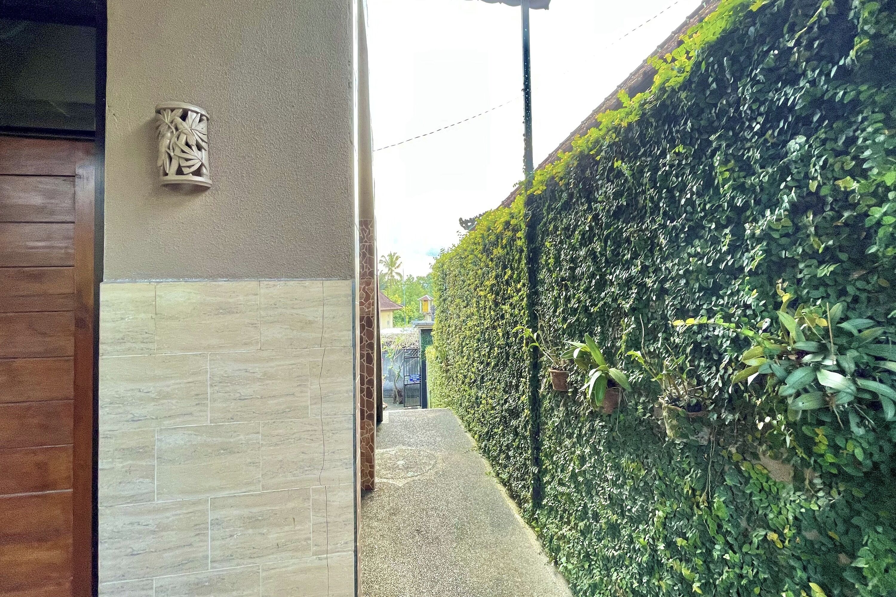 Un sendero estrecho bordeado por una pared de azulejos y un seto verde.