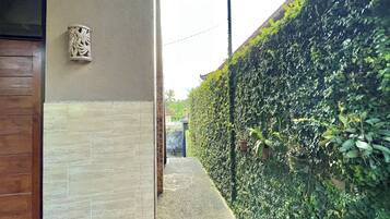 Un sendero estrecho bordeado por una pared de azulejos y un seto verde.