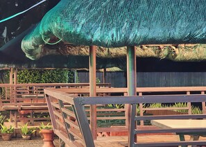 Un espace extérieur abrité, doté de bancs et de tables en bois, et agrémenté de plantes en pot.