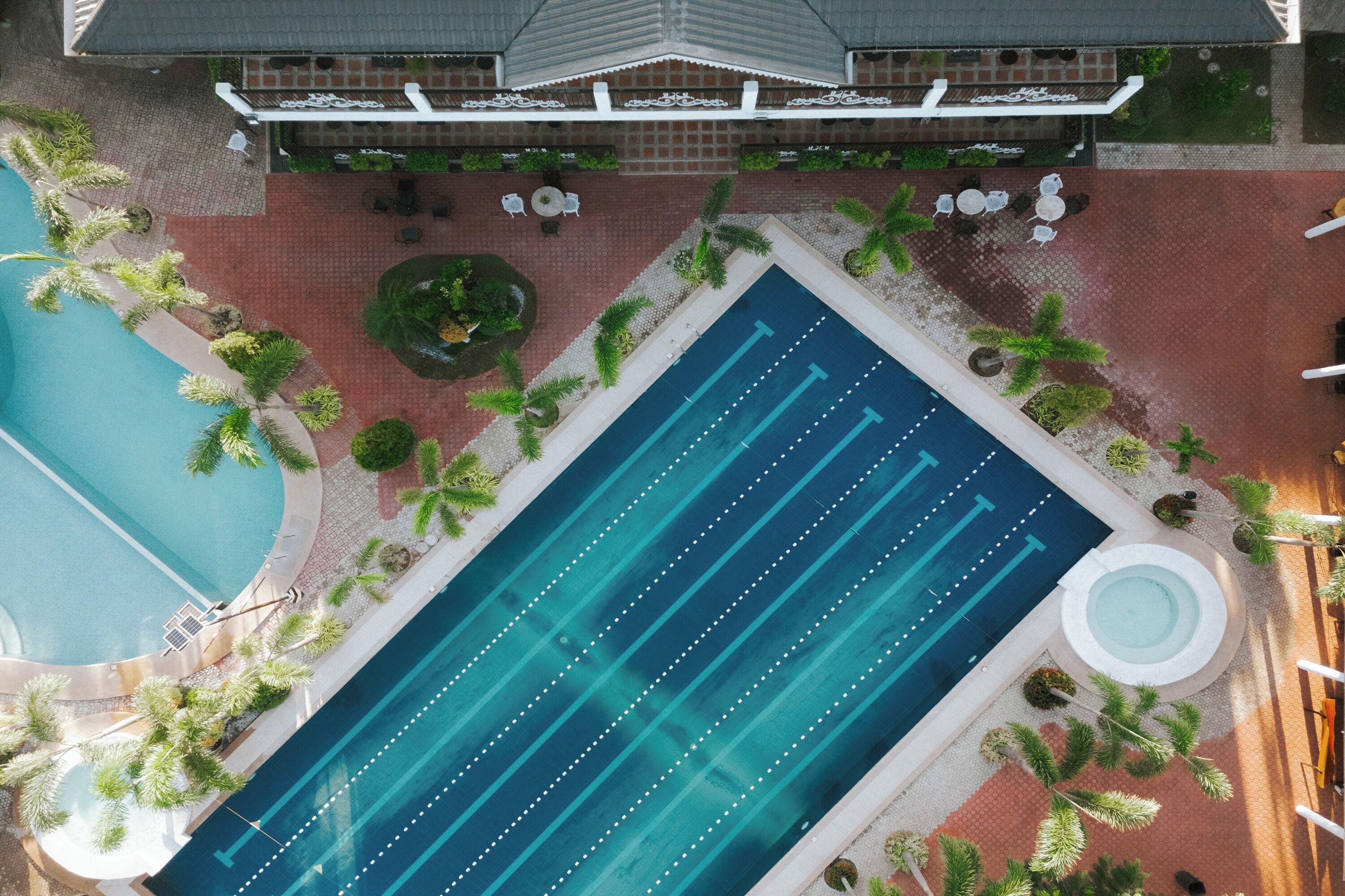 Vista aérea de una piscina con marcas de carril, rodeada de palmeras y un patio de ladrillo.