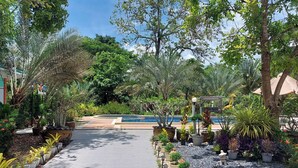 Un chemin mène à une piscine entourée de différents arbustes et arbres en pot.