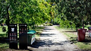 A park pathway with informational signs and trash bins. - The Nest Elwood - Beachside Escape with Free Parking (Elwood)