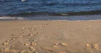 RRRRAD Room by the beach with AC and Heat if needed in Norfolk. Big TV Too