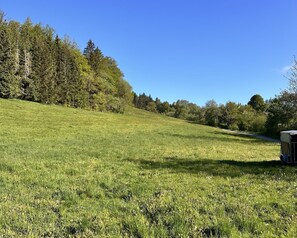 Unclassified image, 4 of 53, button