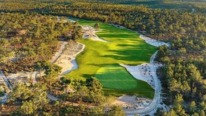 Vue aérienne d’un terrain de golf entouré d’une forêt dense.