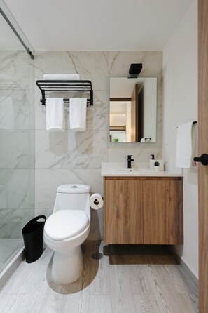 Ducha, secador de pelo y toallas