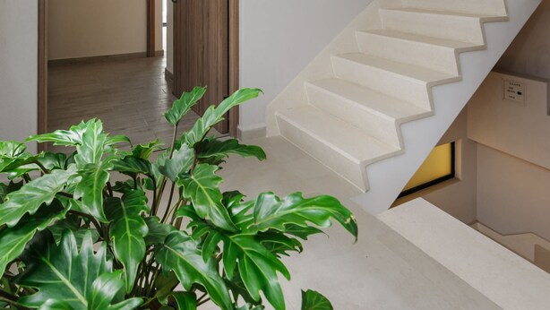 Una escalera moderna con una puerta de madera que da a un pasillo.