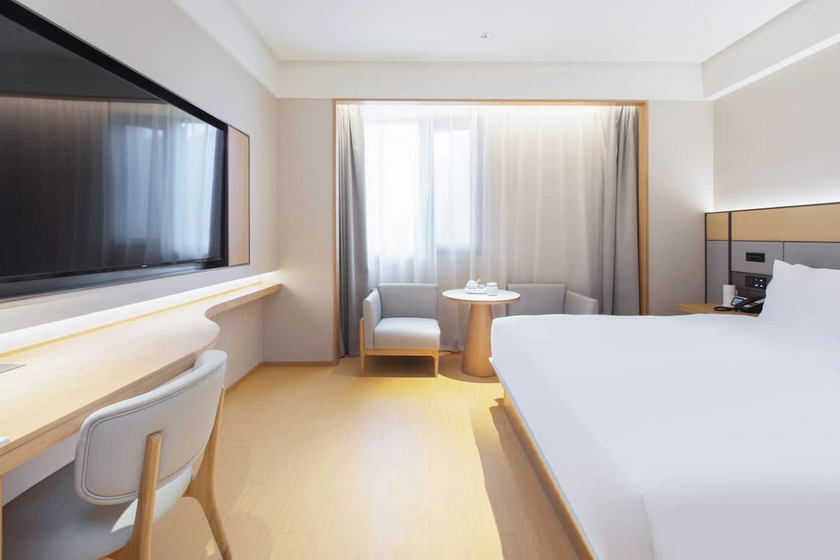 1 dormitorio, ropa de cama hipoalergénica, edredones de plumas y minibar