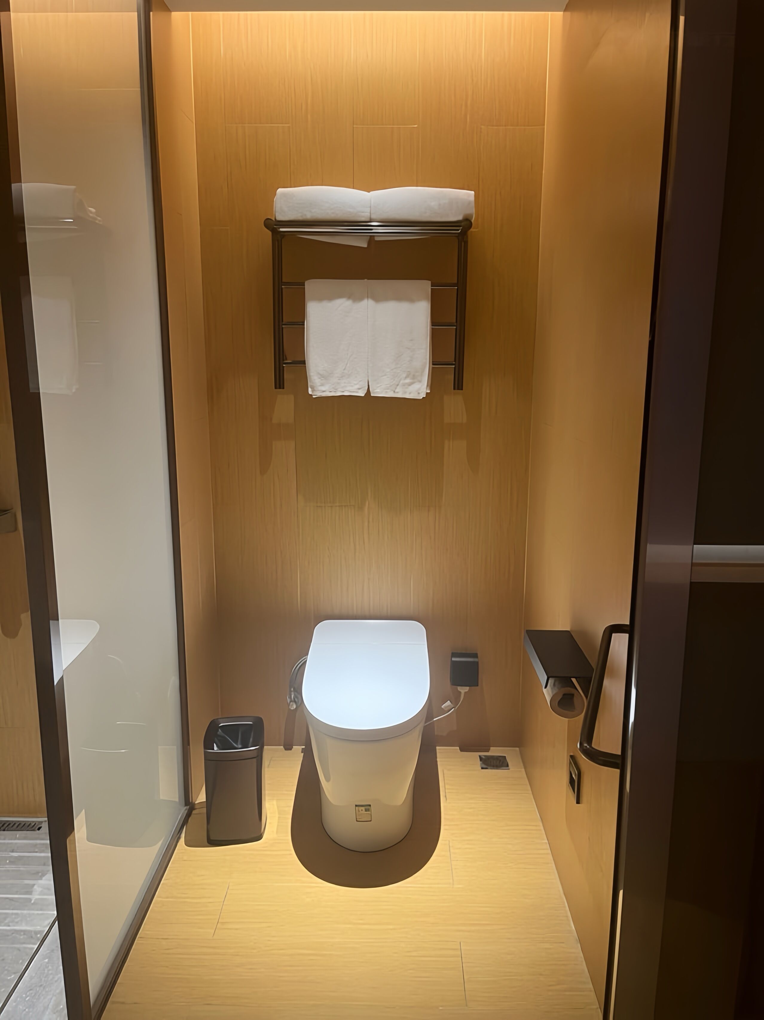 Ein kleines, modernes Badezimmer mit Toilette, einer Ablage und einem Handtuchhalter.