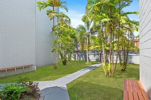 Un patio con camino de hormigón, bancos y palmeras.