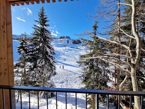 Property grounds - Stylish apartment with a sauna next to the slope (Hermagor)