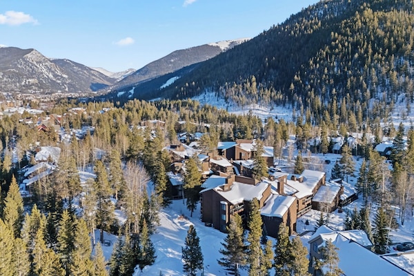 Aerial View in Winter