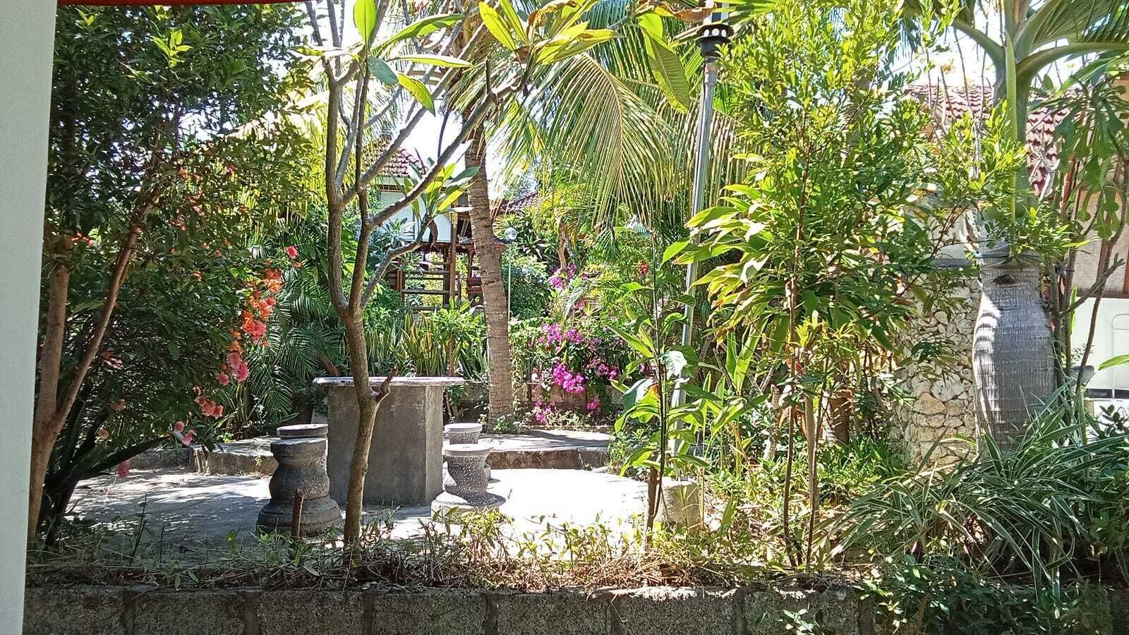 Um jardim com diversas plantas e uma estrutura de pedra.
