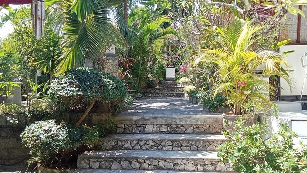 A stone staircase leading up to a building, surrounded by lush tropical plants and a stone wall. - Ratu Cottage by OurStory Travels (Penida Island)