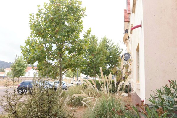 Terrain de l’hébergement