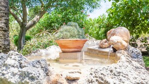A rock fountain with a cactus and a large pot.