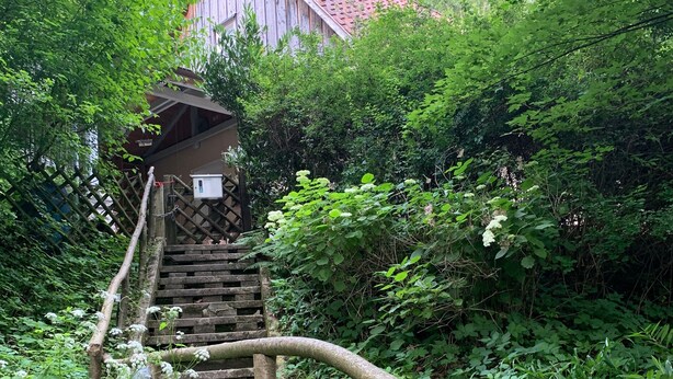 Una escalera de madera conduce a un edificio con techo rojo, rodeado de exuberante vegetación.